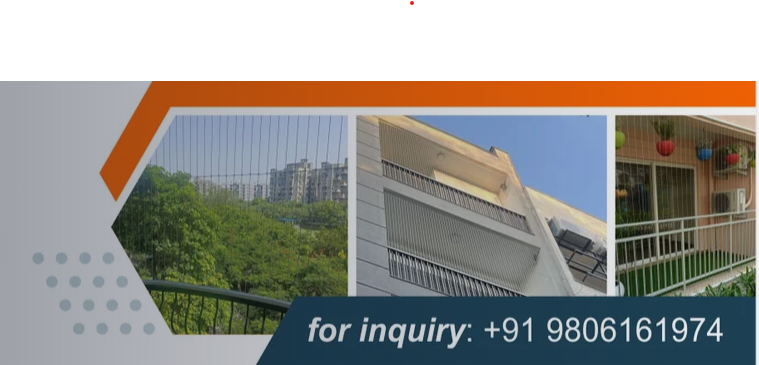 Birds And Pigeon Control